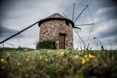 Na Rota dos Moinhos do Buçaco