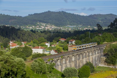 Pelos caminhos da Chã de Arefe