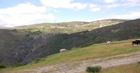 Trilho da Pombeira