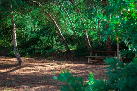 Parque da Vila