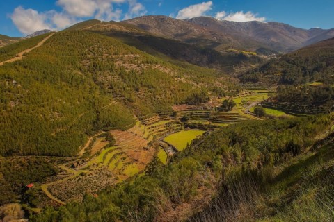 Rota da Ribeira de Alvoco
